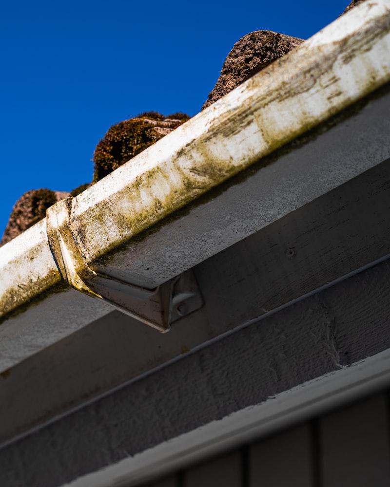 Gutter Cleaning
