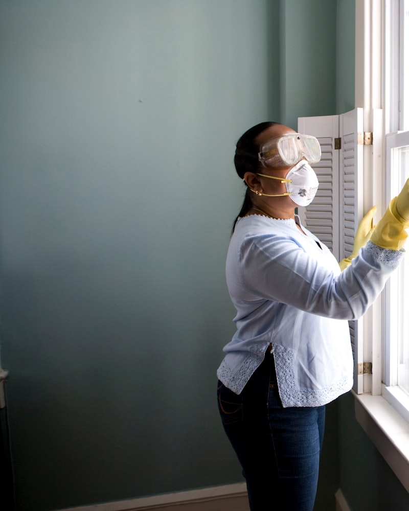 Interior Window Cleaning